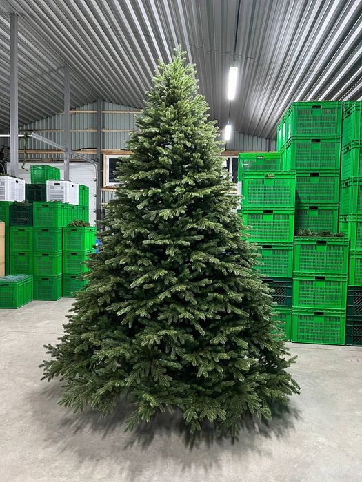 Знижка до 5.12.Ёлка Лита. Лита ялиночка Валенсія на крабах