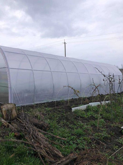 Теплиці та парники для вирощування овочів та росзади