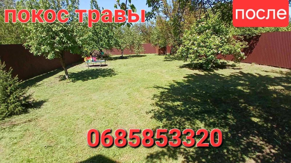 Покос травы цена договорная