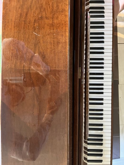 Pianino Hugo Stelzhammer