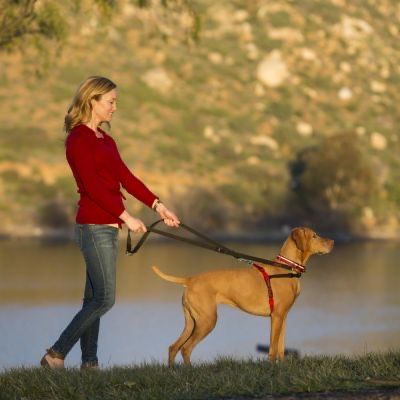 Szelki Halki treningowe Front Control M