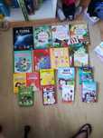Vários livros infantil/ juvenil