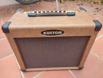 Amplificador para guitarra ou qualquer outro instrumento acústico