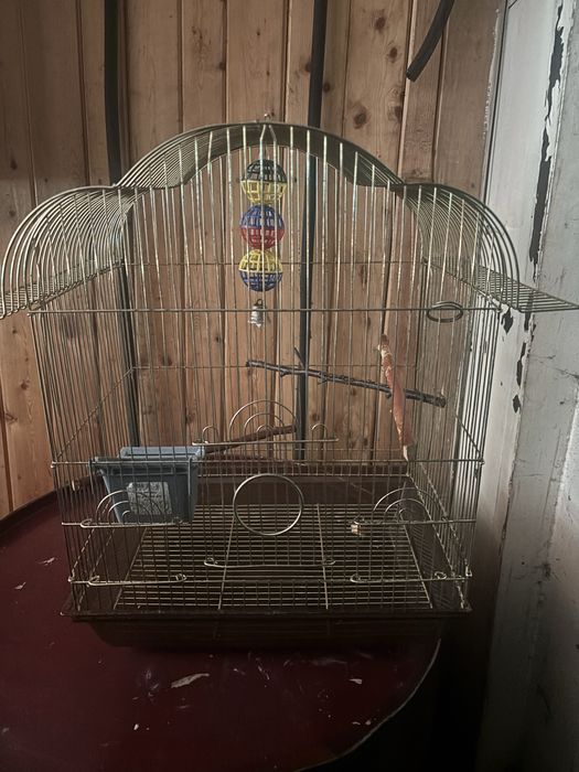 Клітка для Папуги