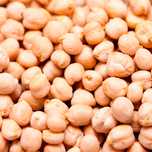 Grão de bico certificado para a agricultura biológica