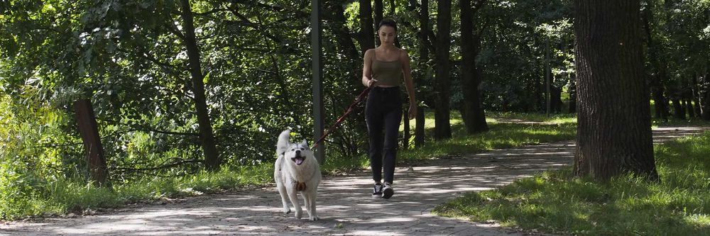 HIFICA Długa Smycz Amortyzowana dla Psa SOFT WALK 2.2 PP 40 + Karab. 8