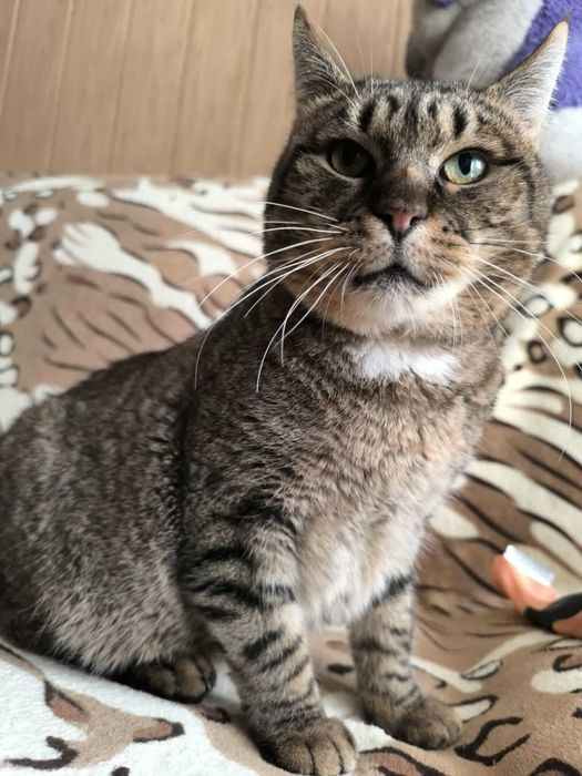 Benio grzeje kolanka