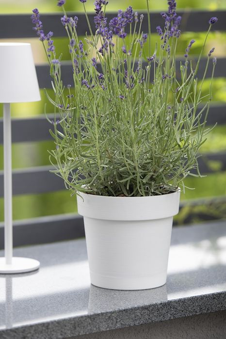 Doniczka z Podstawką MELROSE GLAMOUR 35 cm Biała