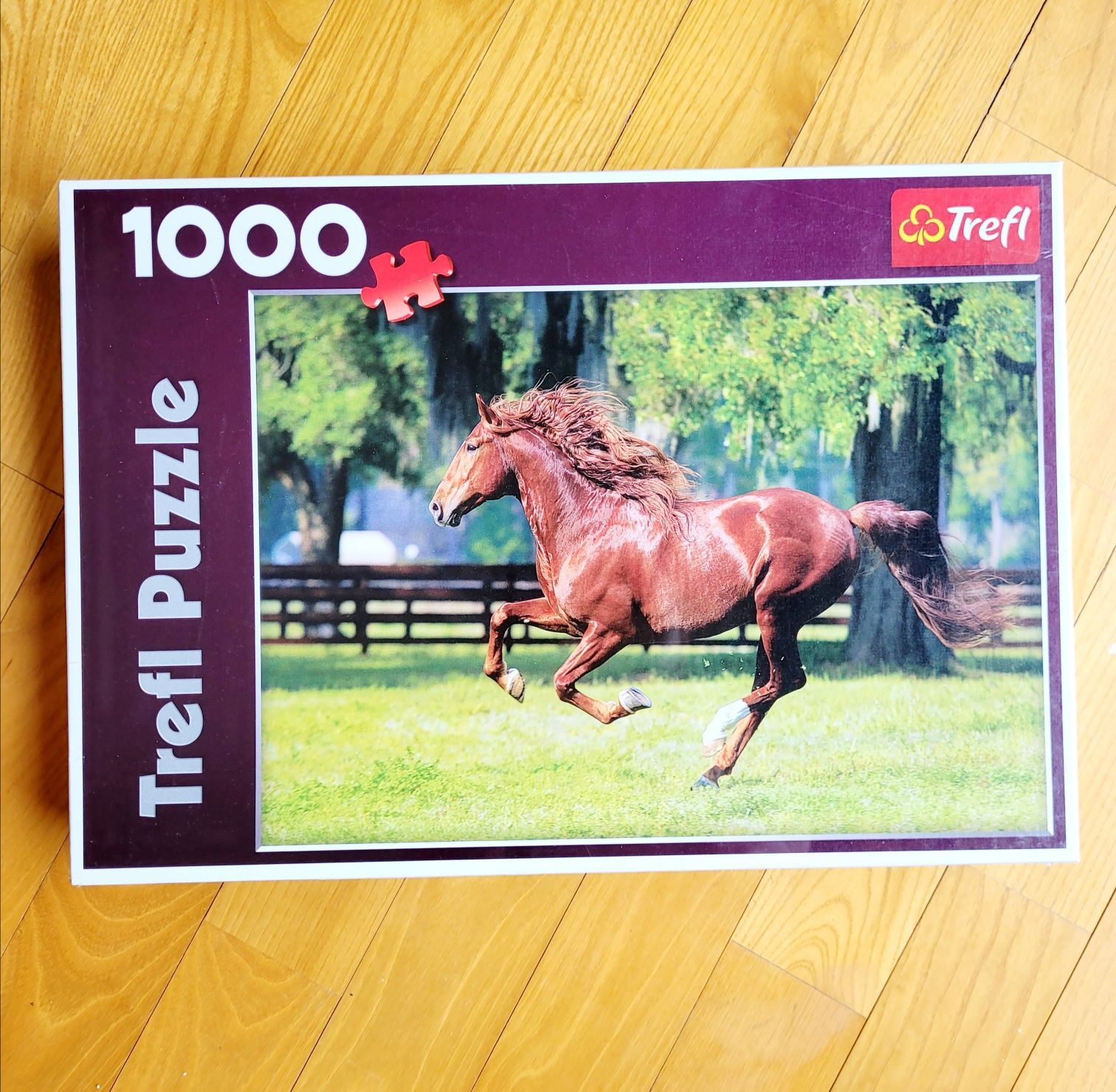 Puzzle Trefl 1000 el koń konik