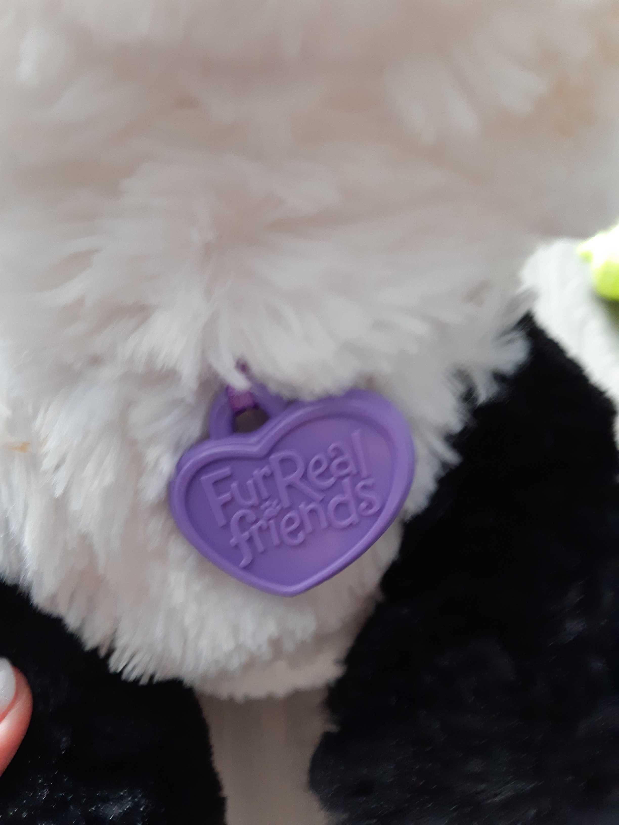 Okazja!Panda interaktywna HASBRO FUR REAL FRIENDS