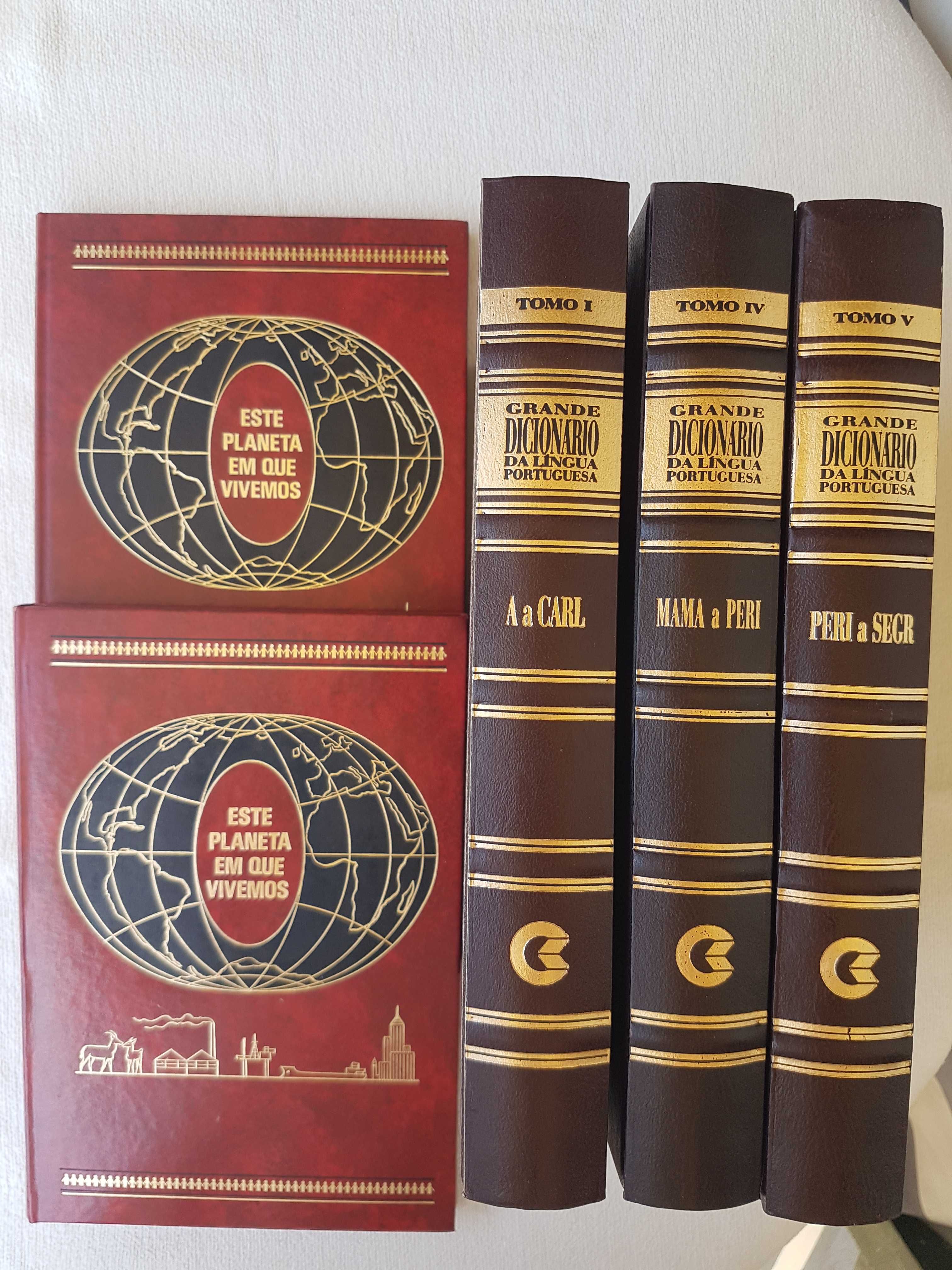 2 Livros Este Planeta em que Vivemos + 3 Dicionários Língua Portuguesa