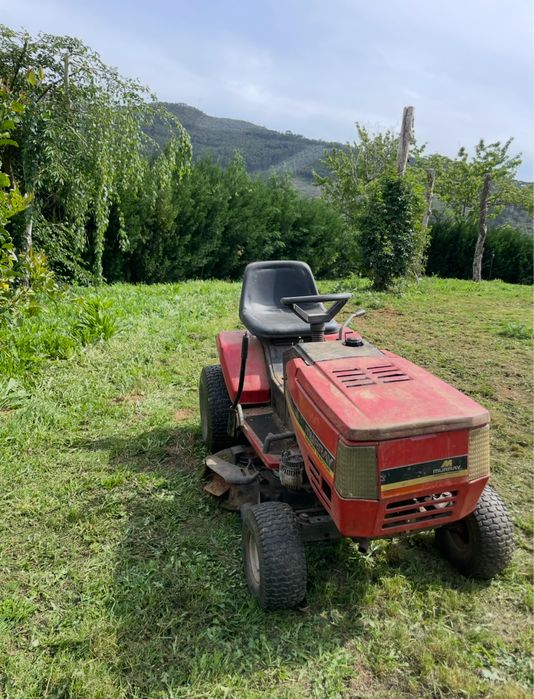 Corta Relva Murray 46"" 4 x 4