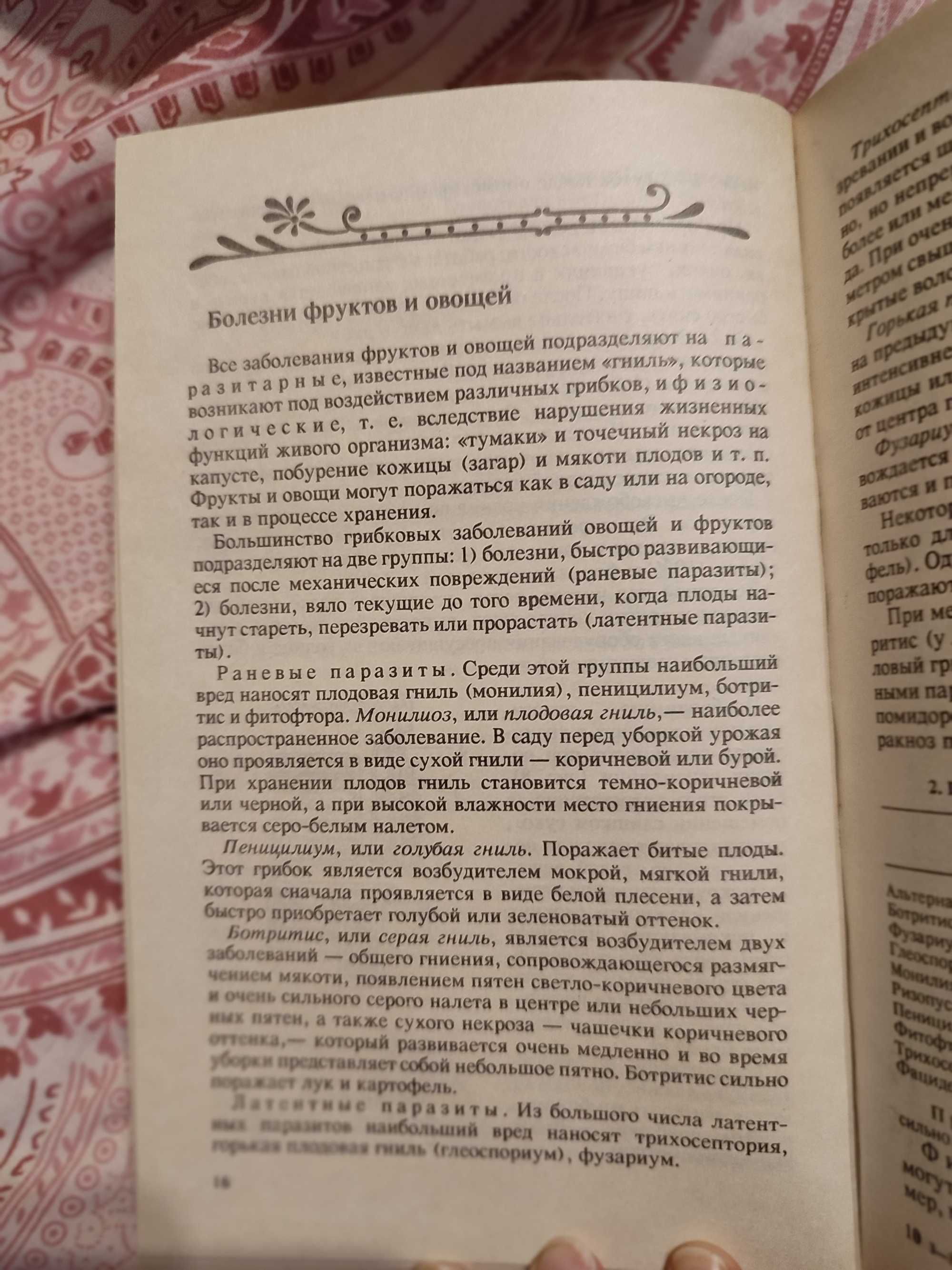 В саду и на огороде. К зимнему столу