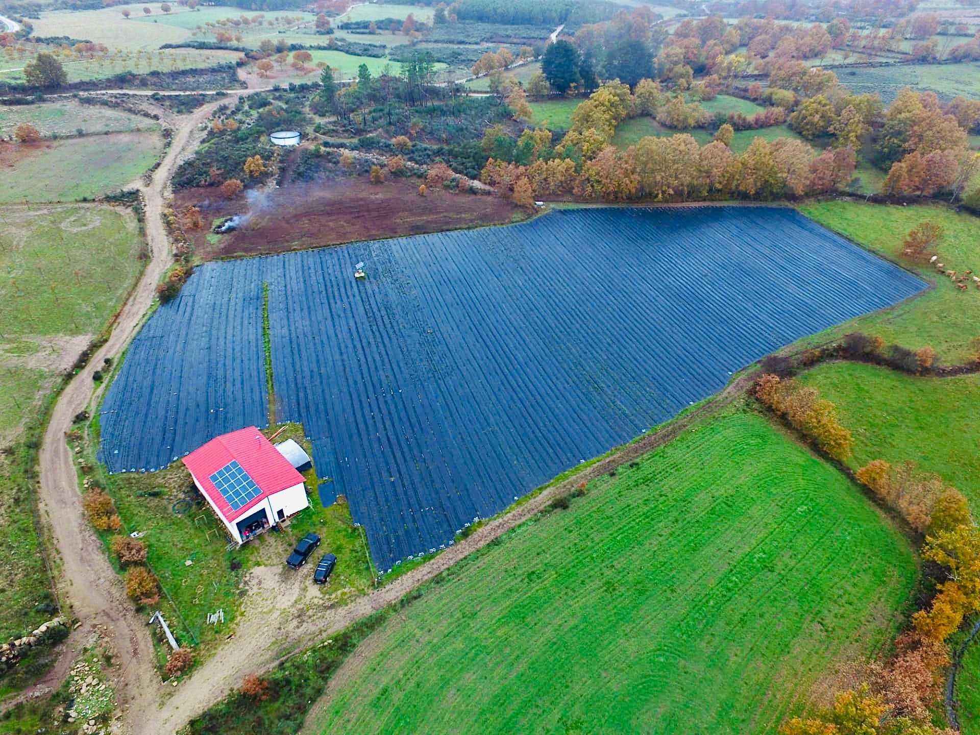 Terreno Agrícola *Certificado Biológico* c/ Armazém  - 3hec