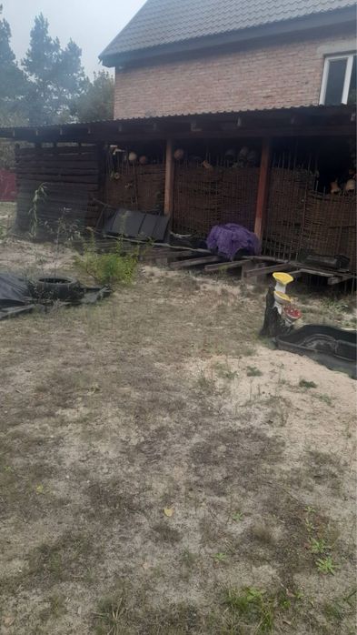 Продам будинок в лісі від власника з бомбосховищем