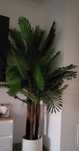 Planta artificial