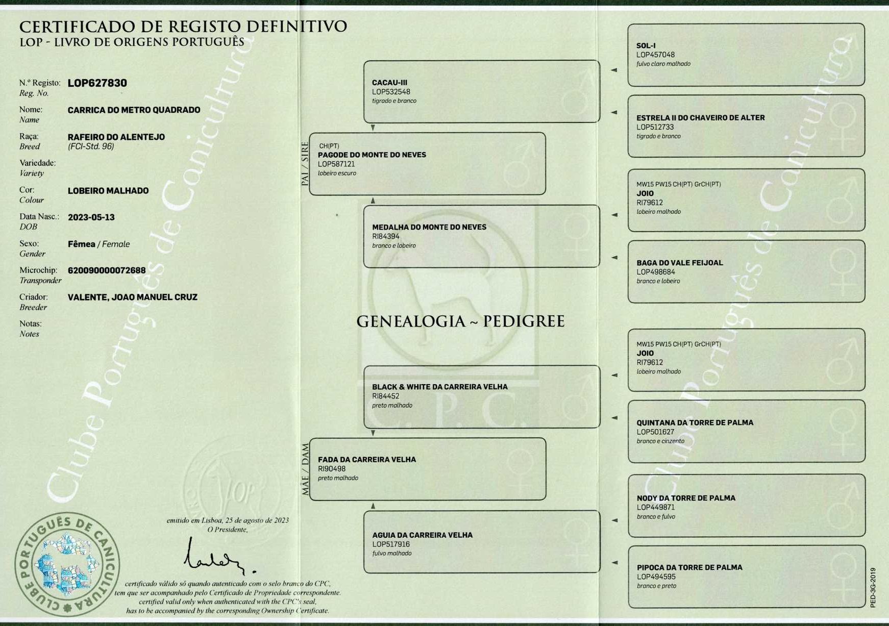 Rafeiro de Alentejo com LOP