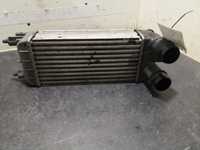 Radiador Do Intercooler Citroën C5 Iii (Rd_)