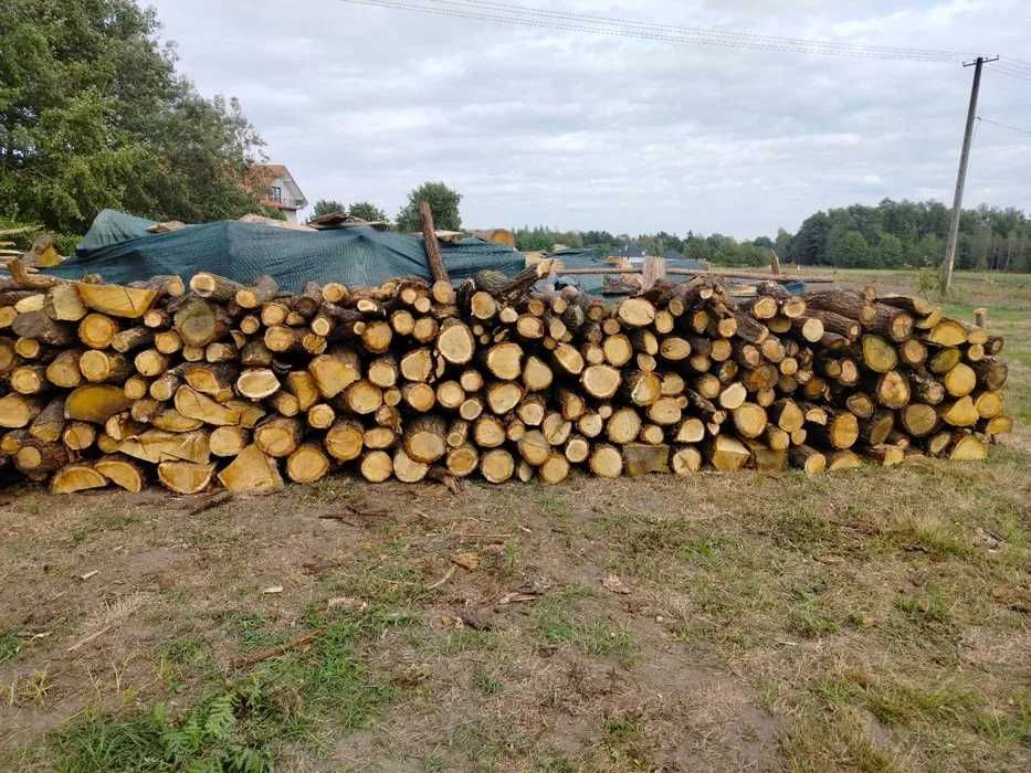 Drewno opałowe i budowlane na deski