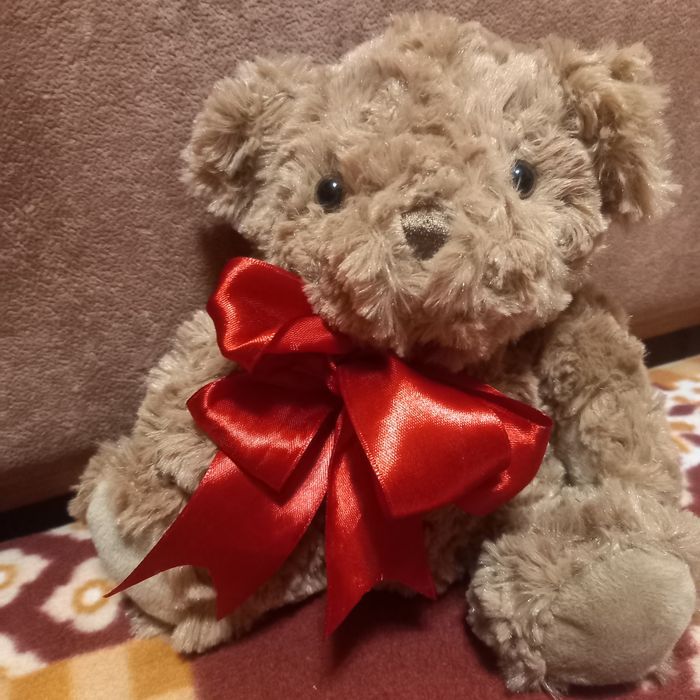 Ведмедик,мягка іграшка