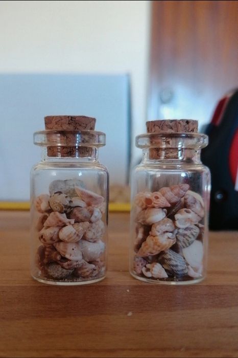 Conjunto 4 frascos conchas e buzios