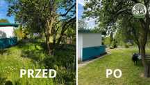 Usługi ogrodnicze- koszenie, przycinanie żywopłotów, ścinanie drzew