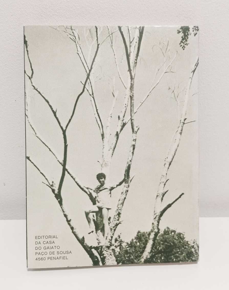 Cantinho dos Rapazes, de Padre Américo