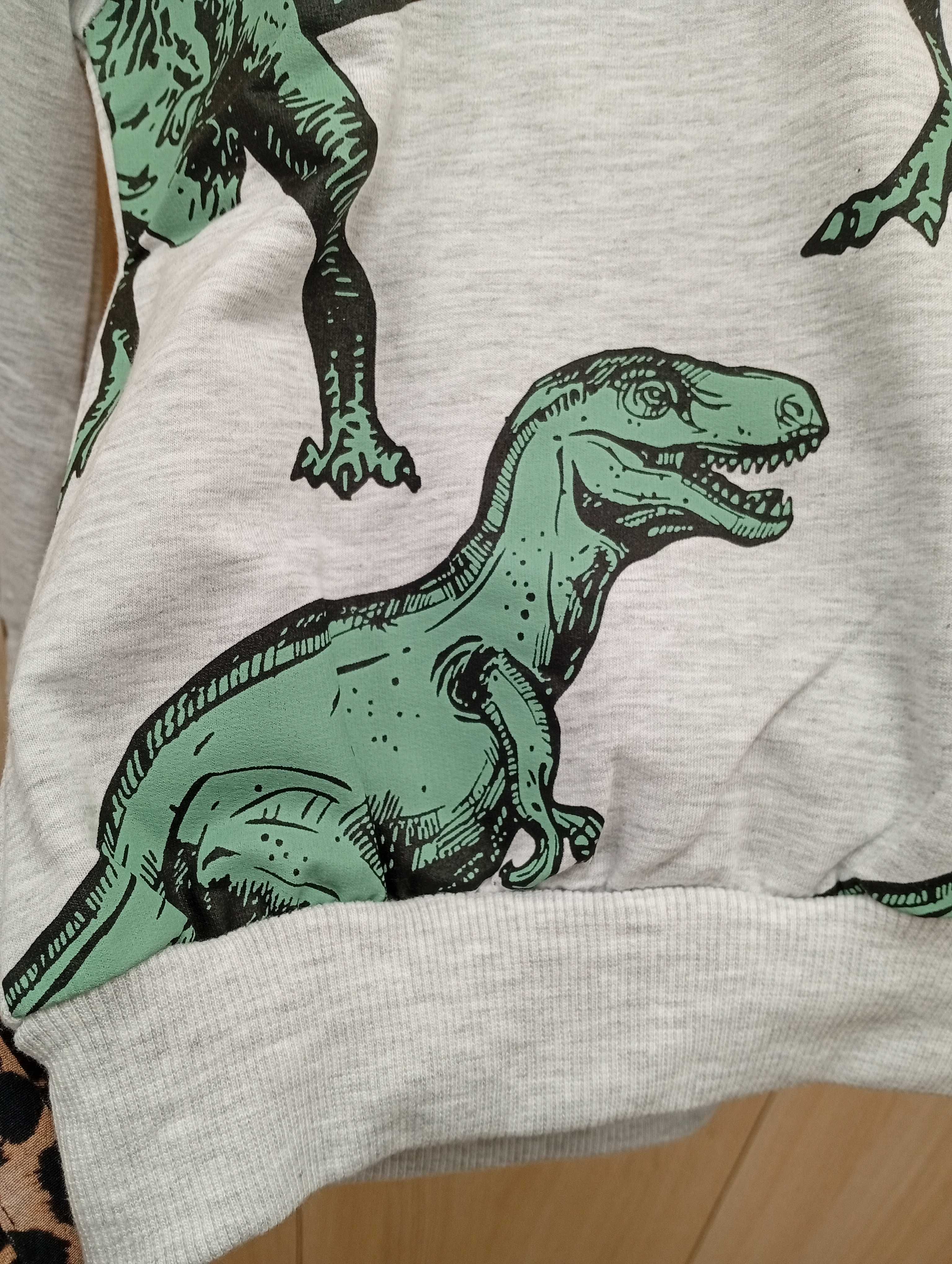 Komplet chłopięcy dinozaury 4-5 lat