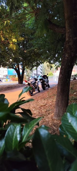 YAMAHA YZF600R ThunderCat 76.1kw