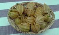 Physalis - fruta fresca, doces