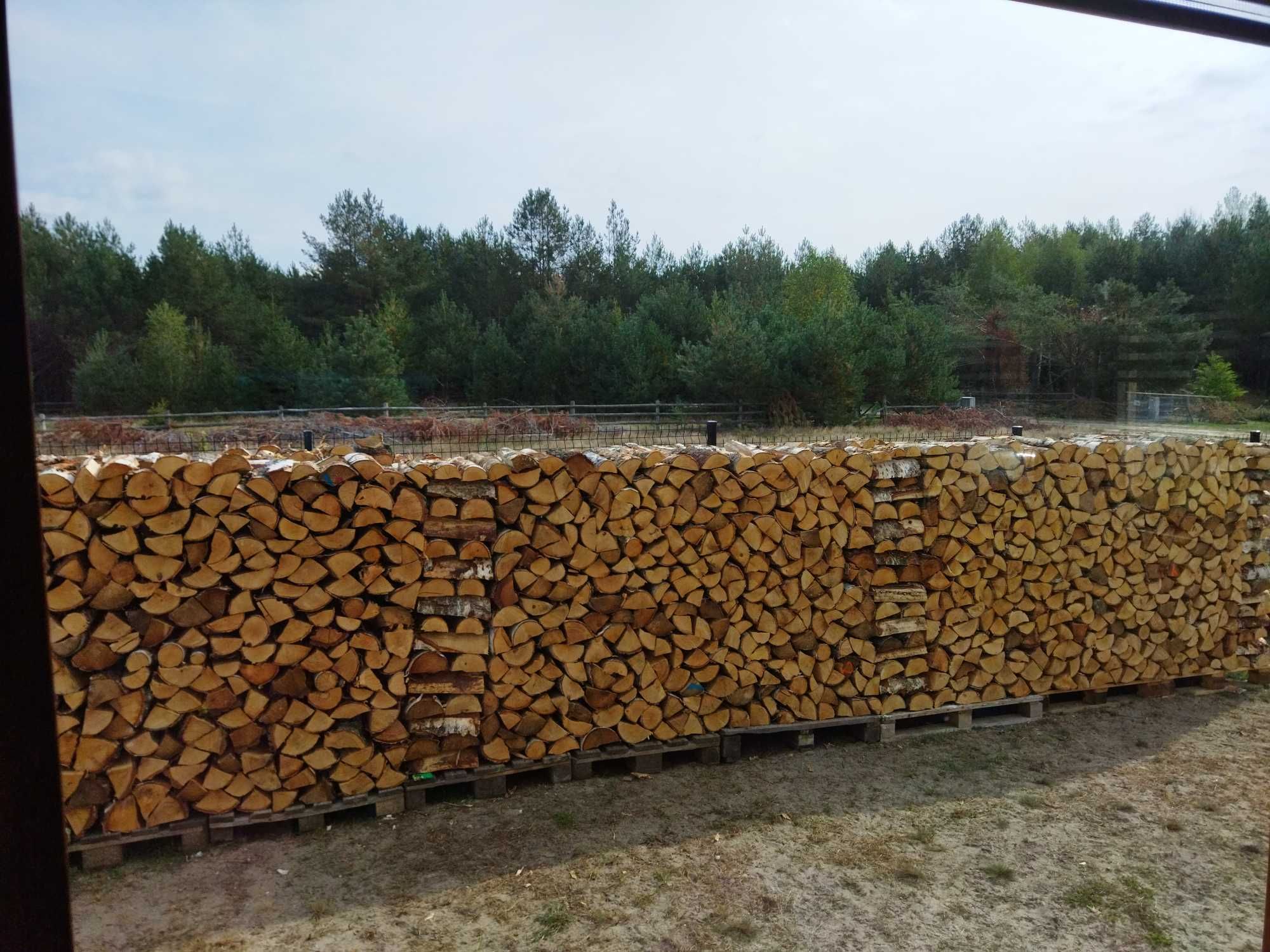 Suche Drewno Brzozowe Kominkowe – Sezonowane 2 Lata