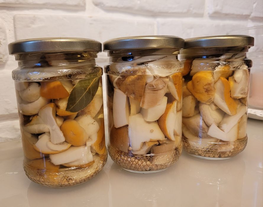 Rydze podgrzybki prawdziwki borowik opieńki gąski kozaki marynowane