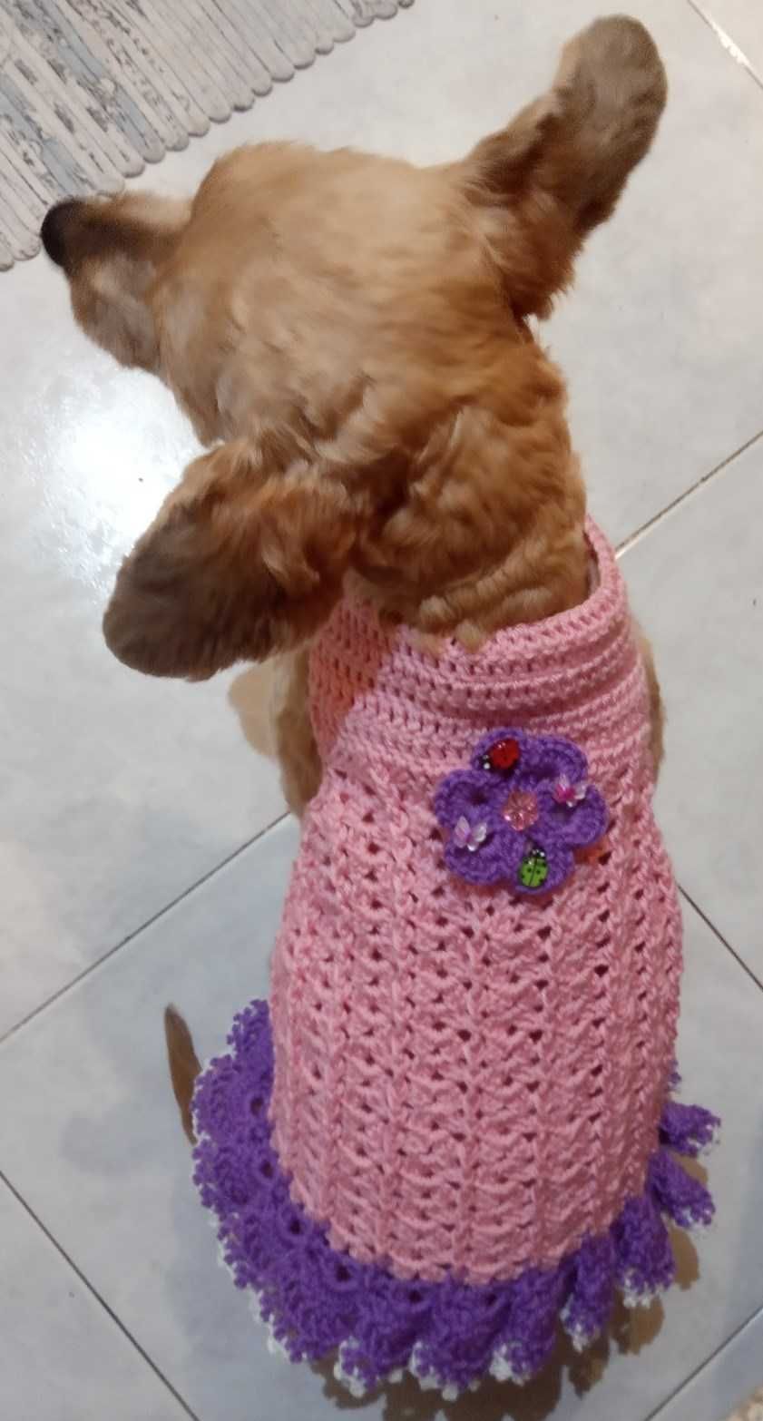 Vestidos pet em croché