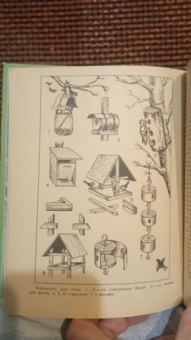 Уголок природы в детском саду.