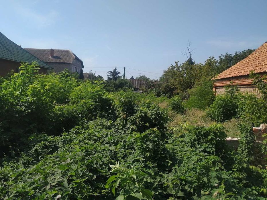 Комплексная уборка земельных и дачных участков по Кривому Рогу.