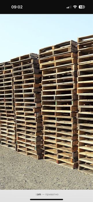Купим піддони, палети.