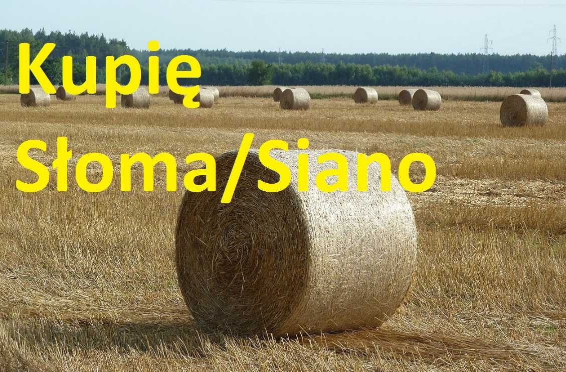 słoma pszenna , owsiana, żytnia ,pszenżyta