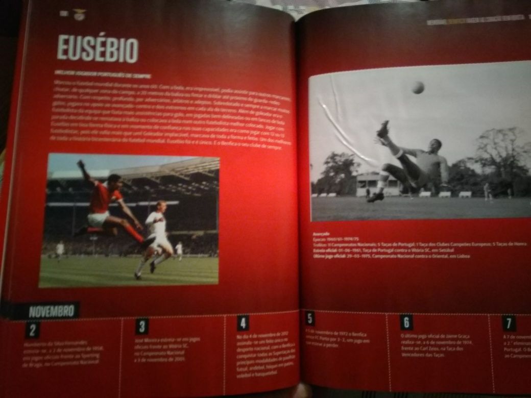 Livro Memorável Benfica