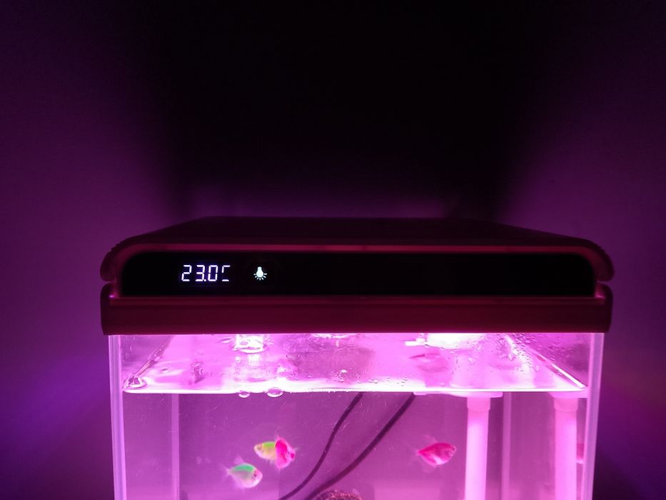 Akwarium na sprzedasz wszystko co na zdj w bardzo dobrym stanie jak no