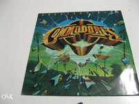 Commodores