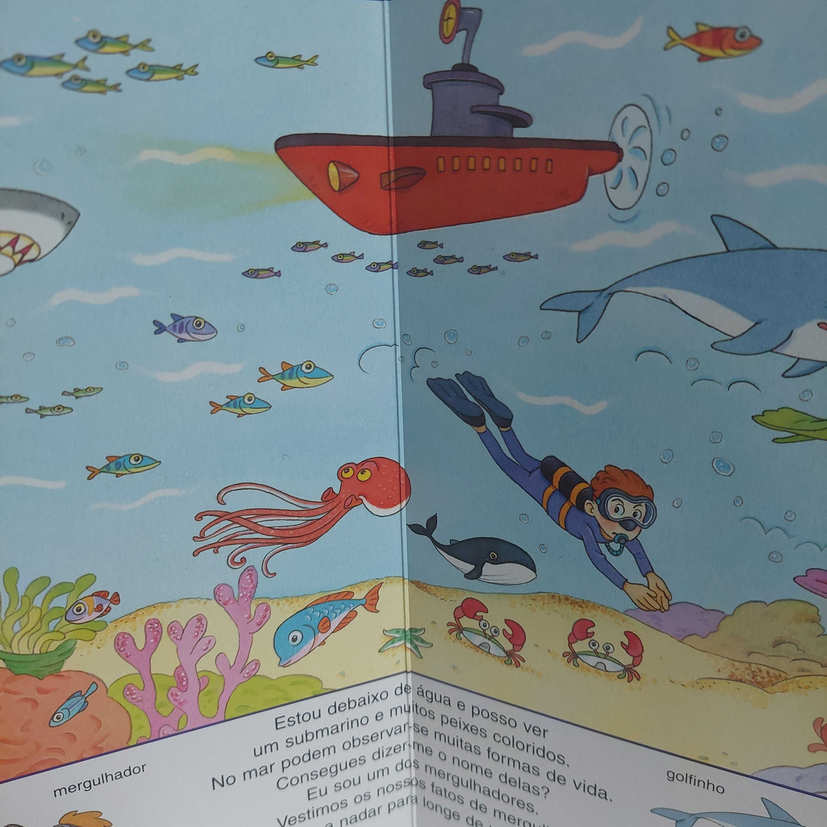Minidicionário ilustrado