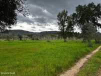 Terreno -  Vila Nova de Poiares