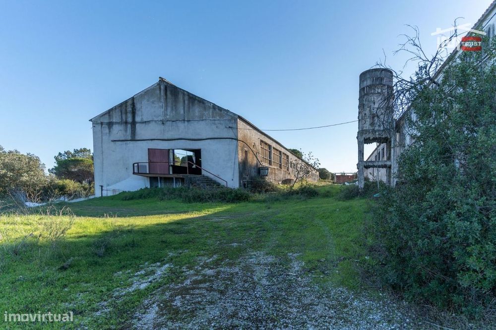 Investimento Como Alojamento Local Com Logradouro, Furo De Água (To...