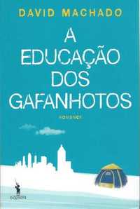 A educação dos gafanhotos-David Machado-Dom Quixote