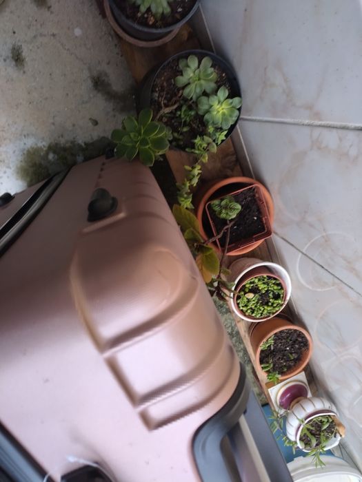 Mala de viagem LER a descrição sff