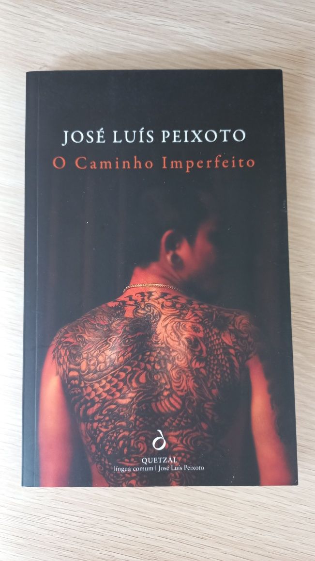 Livro O Caminho Imperfeito, José Luís Peixoto