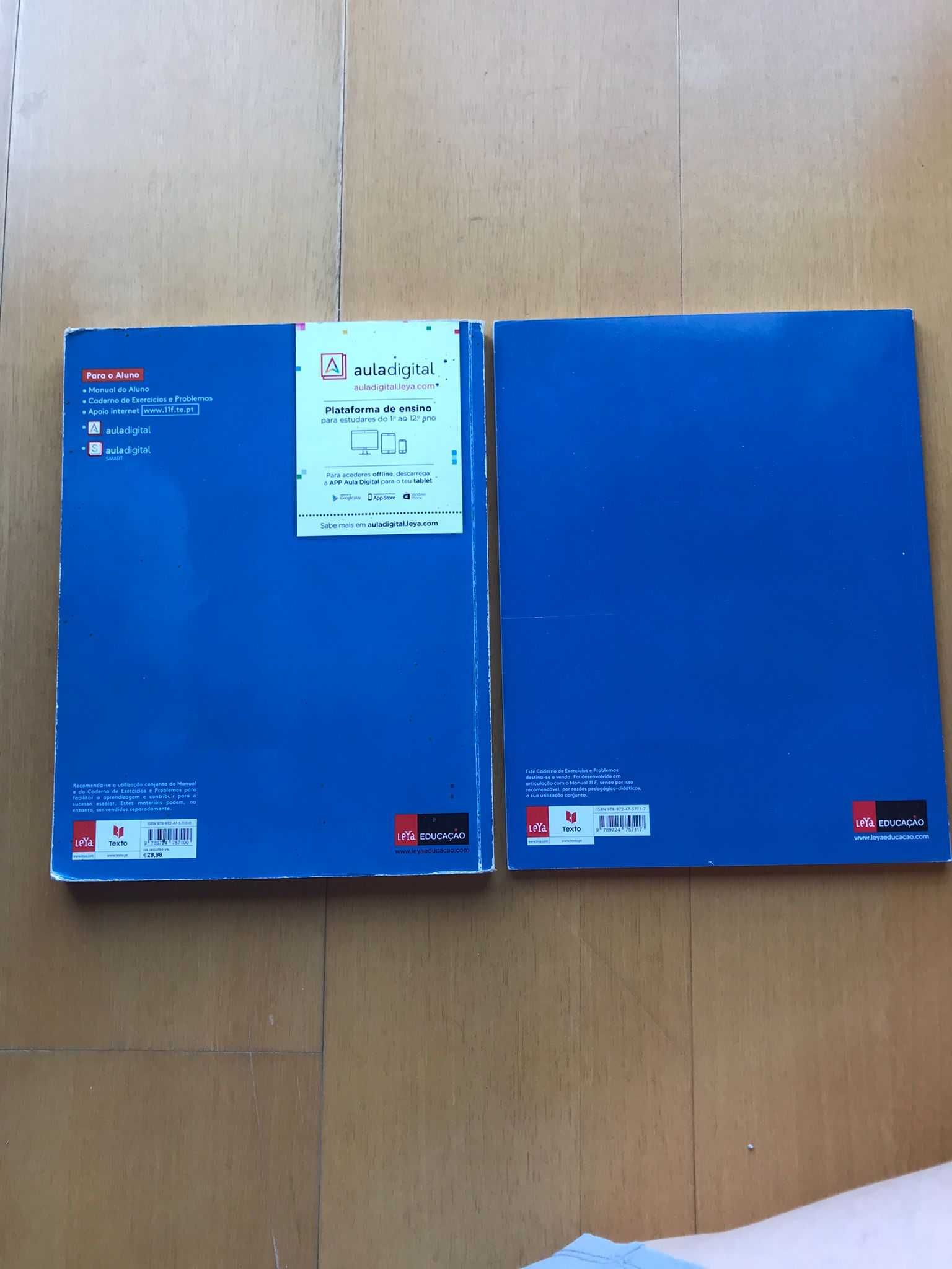 Manual de FQ 11º ano + Cadernos de atividades