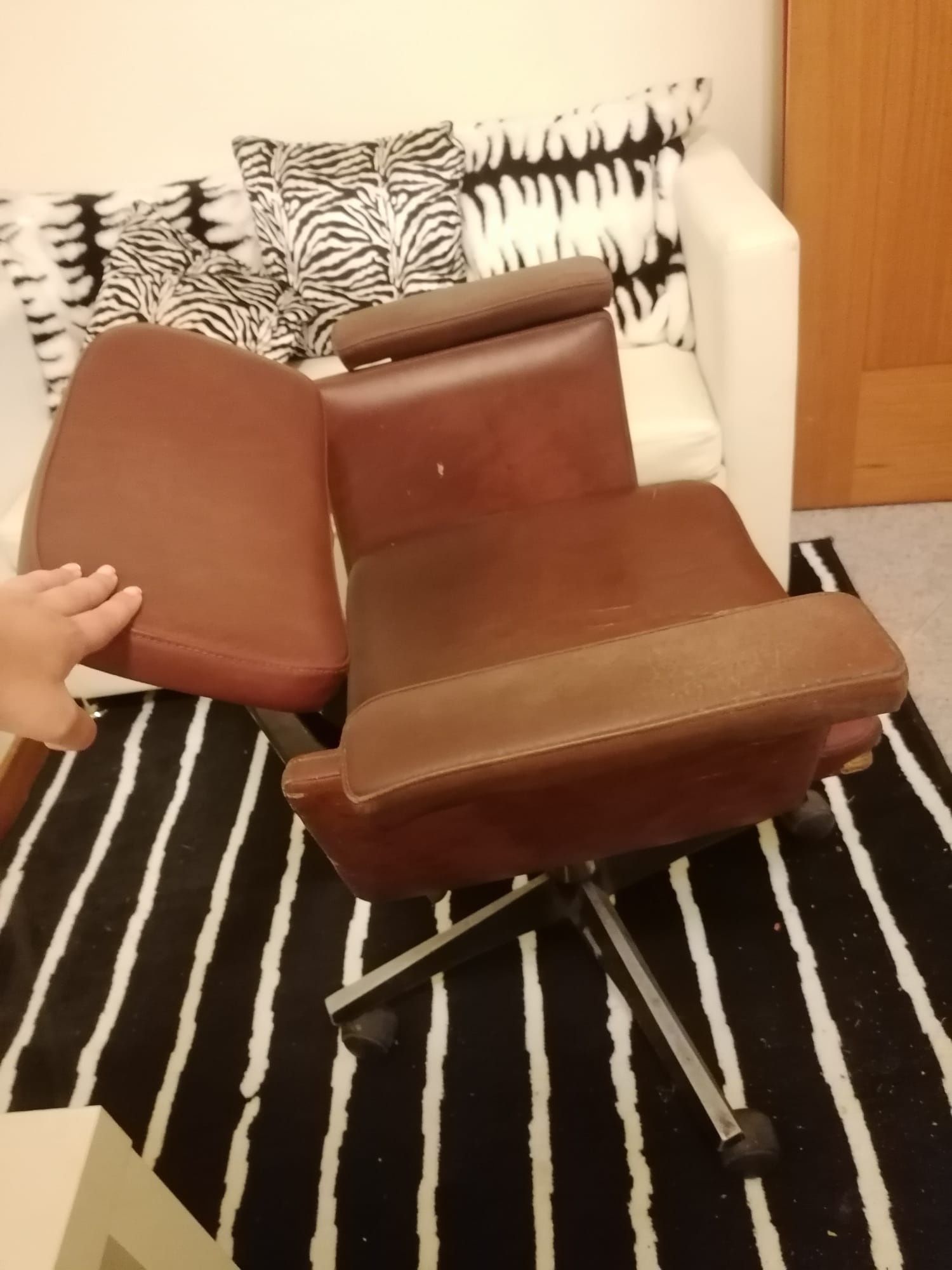 Secretária apenas