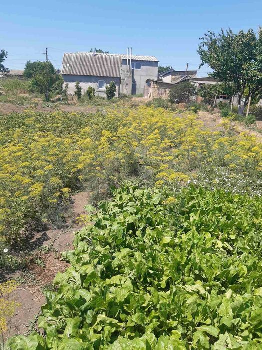 Продам 2-х этажный дом Доброслав! Можно под гос. программы