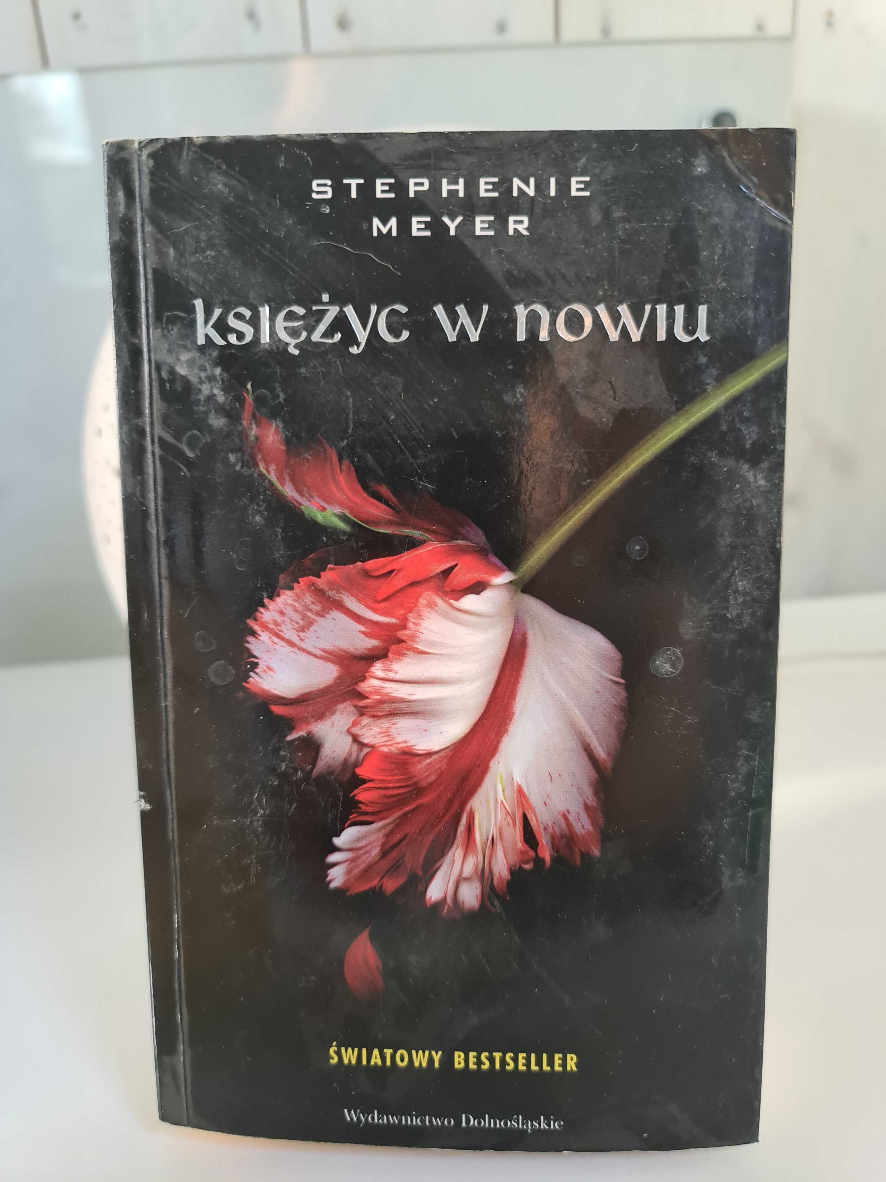 Książka Saga - Księżyc W Nowiu